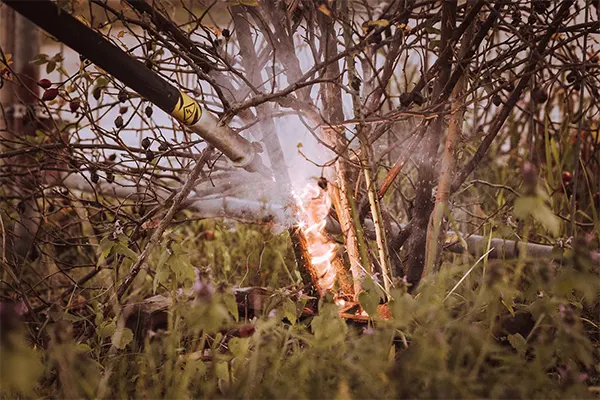 Nicht nur der Riesenbärenklau lässt sich mit der WURZEL-KILLER-Technologie bekämpfen, sondern zum Beispiel auch wuchernde Brombeergebüsche.